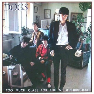DOGS – TOO MUCH CLASS FOR THE NEIGHBOURHOOD