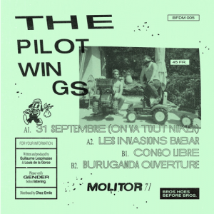 THE PILOTWINGS - Molitor 71