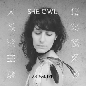 She Owl Animal Eye