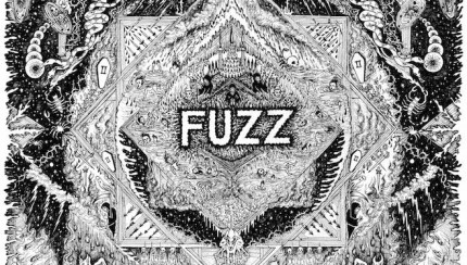Fuzz II